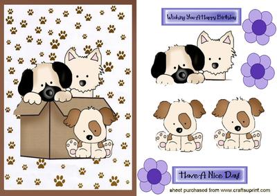 Cute Little Puppies in a Box with Flowers