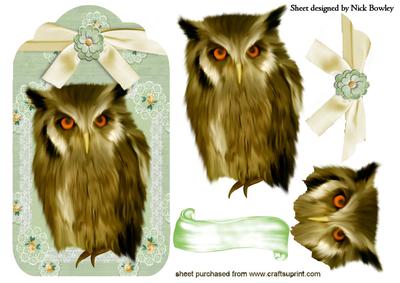 Beautiful Tawny Brown Owl on Floral Tag