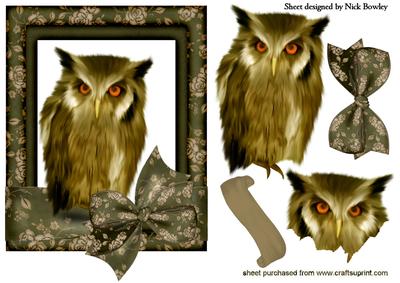 Beautiful Owl in Frame with Big Bow