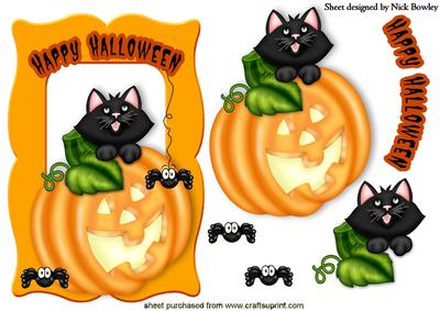 Puddicat with Spiders Hiding in a Pumpkin