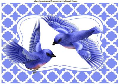 Blue Birds in Flight A4