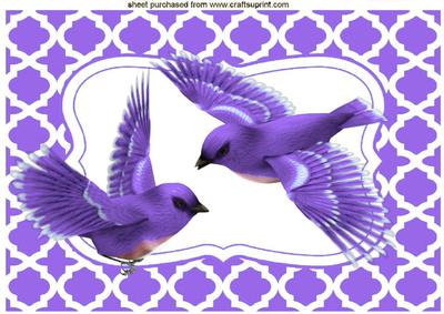 Purple Birds in Flight A4