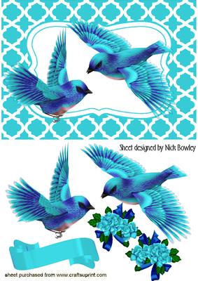 Turq Birds in Flight
