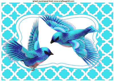 Turq Birds in Flight A4