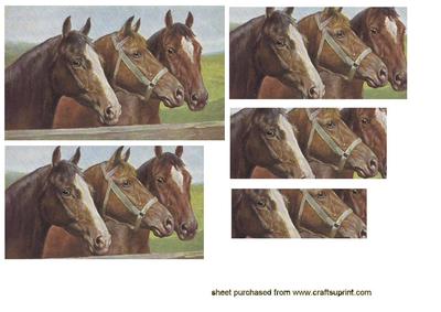 Lovely Horses in Pyramid