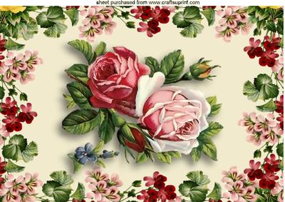 Pretty Roses in Floral Frame A4