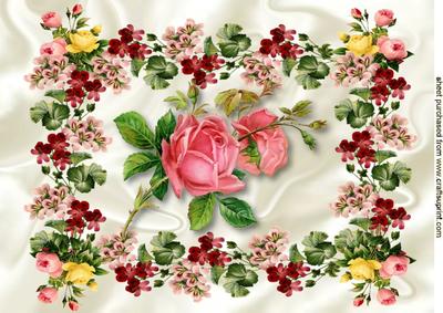 Pink Roses in Pretty Flower Frame A4