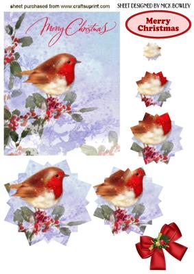 Sweet Little Robin on a Branch Star Pyramids