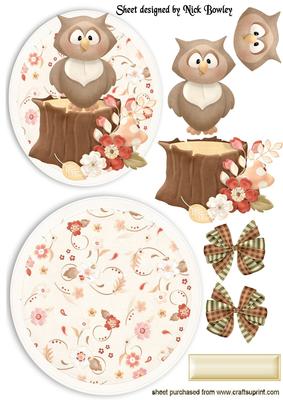 Woodland Owl with Flowers Rocker Card