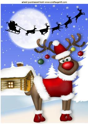 I Did Tell Santa He's Got the Wrong One! A4