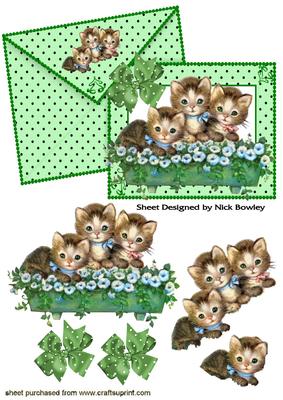 Cute Kittens in a Flower Bed on Card & Envelope