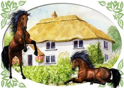 Thatched White Cottage with Horses A4