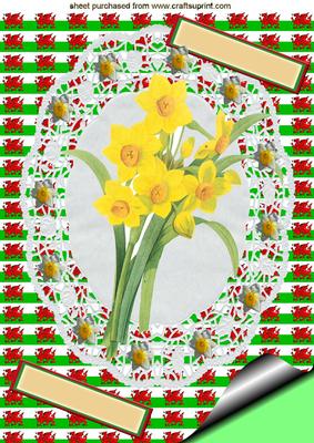 Gorgeous Yellow Daffodil on Lace A4 Topper