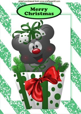 Little Teddy in Christmas Box with Red Bow A4