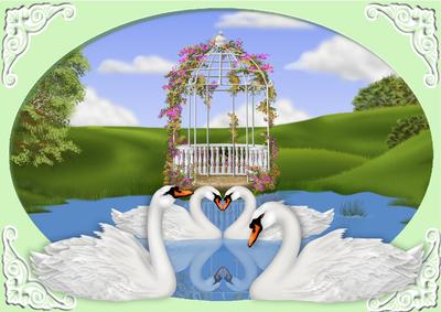 Beautiful White Swans in the Lake in Oval Frame A4