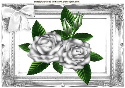 Silver Roses in Silver Ornate Frame A4