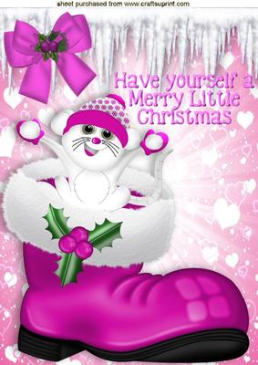 Cute Little Mouse in Pink Santa Boot A4