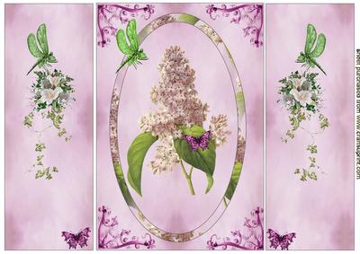 Pretty Flower in Lilac Gatefold Card