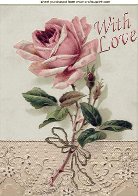 Single Pink Rose with Love A4