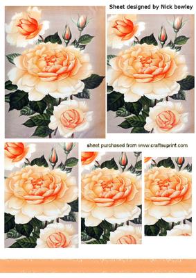 Pretty Peach Roses Pyramids