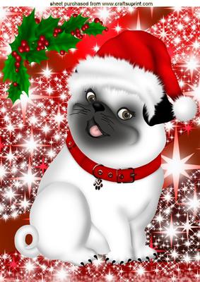 Cute Little Pug in Santa Hat with Holly A4