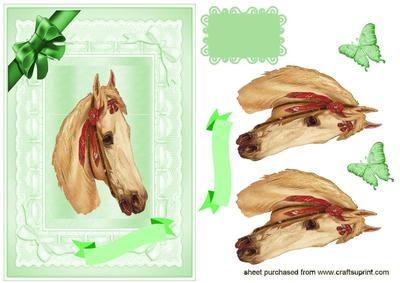 Lovely Horse in Green Frame