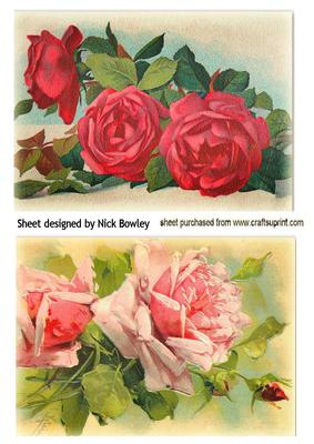 Beautiful Red and Pink Roses Quick Cards