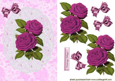 Beautiful Cerise Roses on Lace Dollie