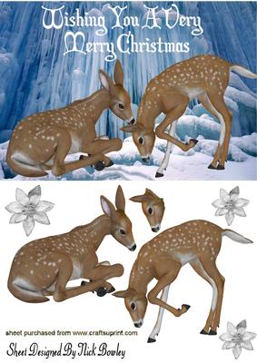 Pretty Deers in a Snow Glazier