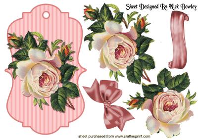 Pretty Pink Rose on Striped Tag with Bow