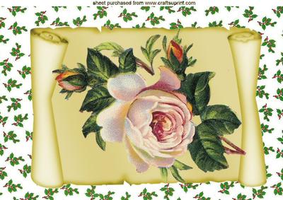 Vintage Pink Roses on Scroll with Holly A4