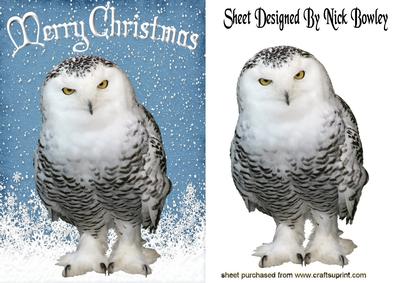 Snowy White Owl in the Snow