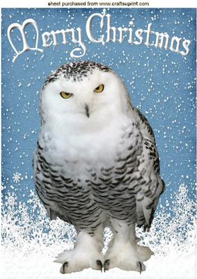 Snowy White Owl in the Snow A4