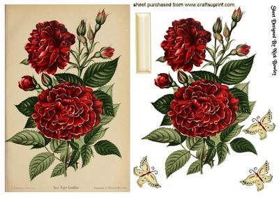 Vintage Red Flowers with Butterflies