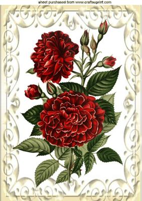 Vintage Red Flowers in Cream Scroll Frame A4