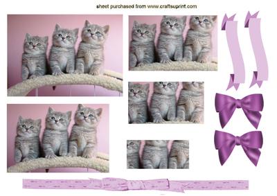 Three Cute Little Kittens Pretty in Pink