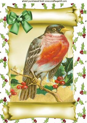 Lovely Robin on a Branch, on a Scroll A4