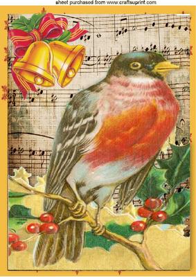 Lovely Robin on a Branch, on Vintage Music A4