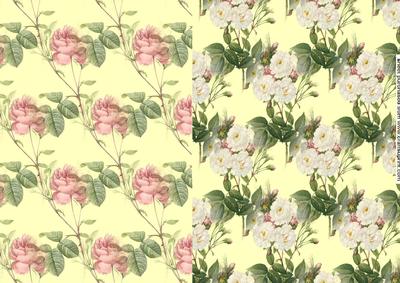 Beautiful Backing Paper to Match Floral Ovals