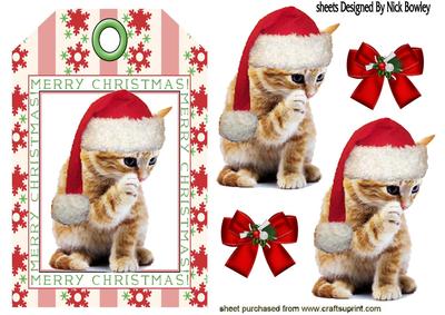 Little Kitten in Santa Hat on a Tag