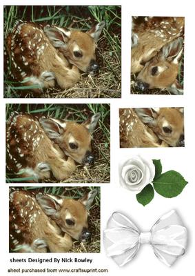 Baby Fawn in the Woodlands Pyramids