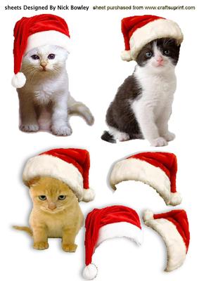 Cute Kittens in Santa Hats