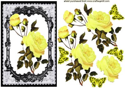 Beautiful Yellow Roses in Black Lace Frame