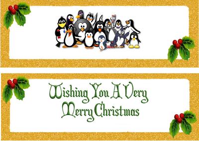 Lots of Lovely Penguins Dl Insert with Verse