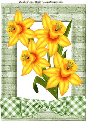 Yellow Daffodils with Gingham Bow in Frame A4