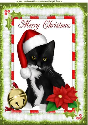 Lovely Black Kitty in Red Santa Hat A4