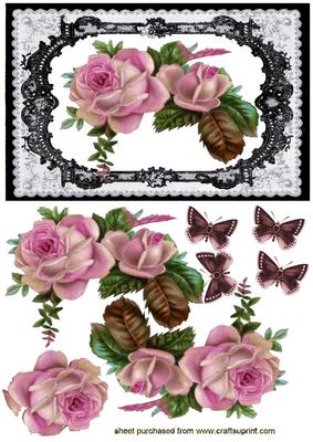 Beautiful Roses in Pretty Black Lace Framer