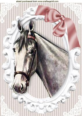 Pretty Grey Horse with Bow in Ornate Frame A4
