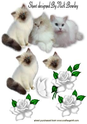 Fluffy White Kittens, with White Roses