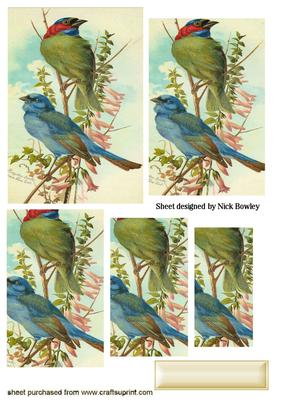 Blue Finches on a Branch, Pyramids